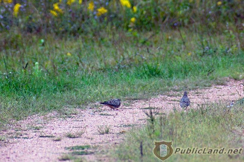 Public Land Hiking Trail Public Land Hiking Trail