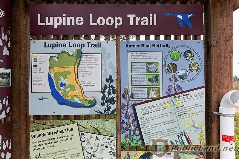 Lupine Trail Loop Lupine Trail Loop