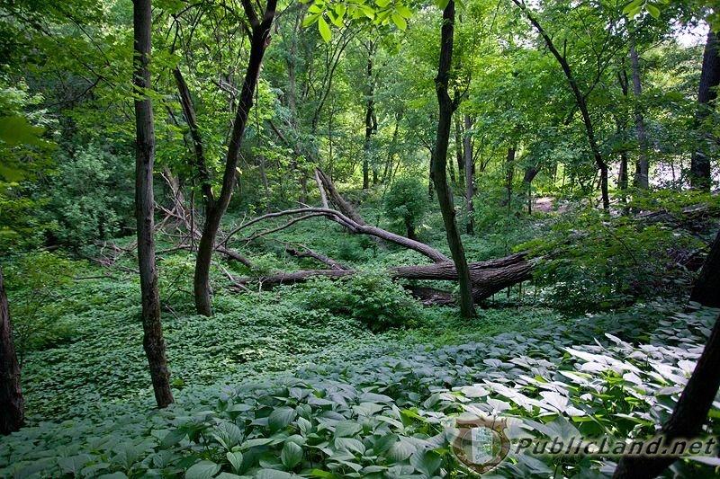 D 800X533 IMG 3715 D 800X533 IMG 3715