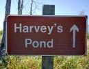Harveys Pond